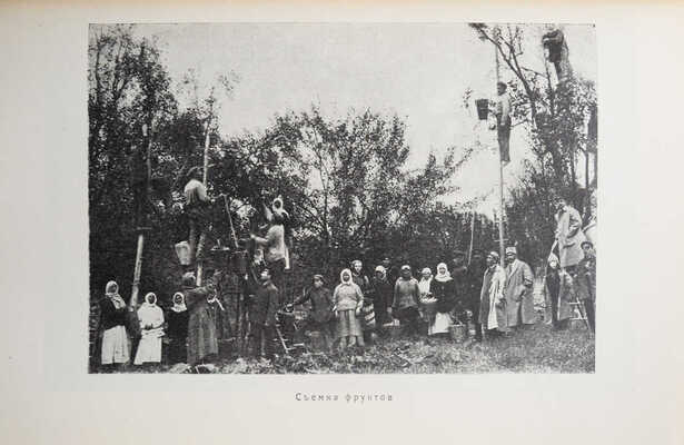 Весь Крым. 1920-1925. Юбилейный сборник (V-му Всекрымскому съезду Советов). Симферополь, 1926.